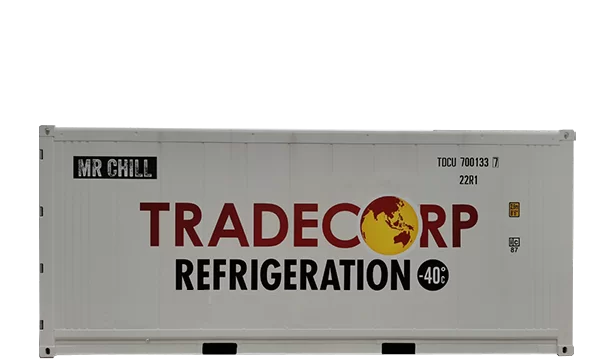 20' Reefer Container (Thermoking Magnum +)