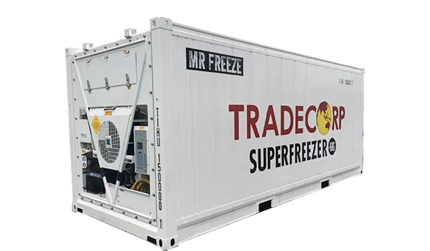 20 Feet Super Freezer Refrigerated Container for Sale